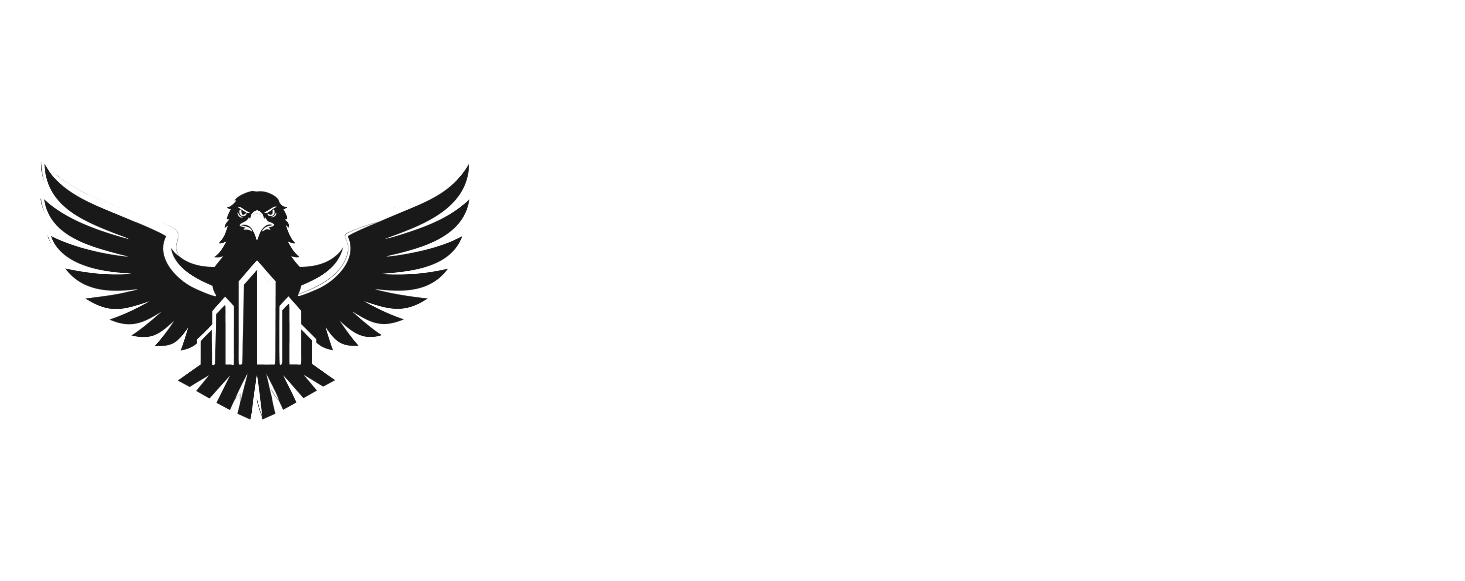 Professional Eagle